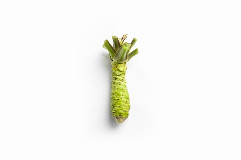 food-design-wasabi
