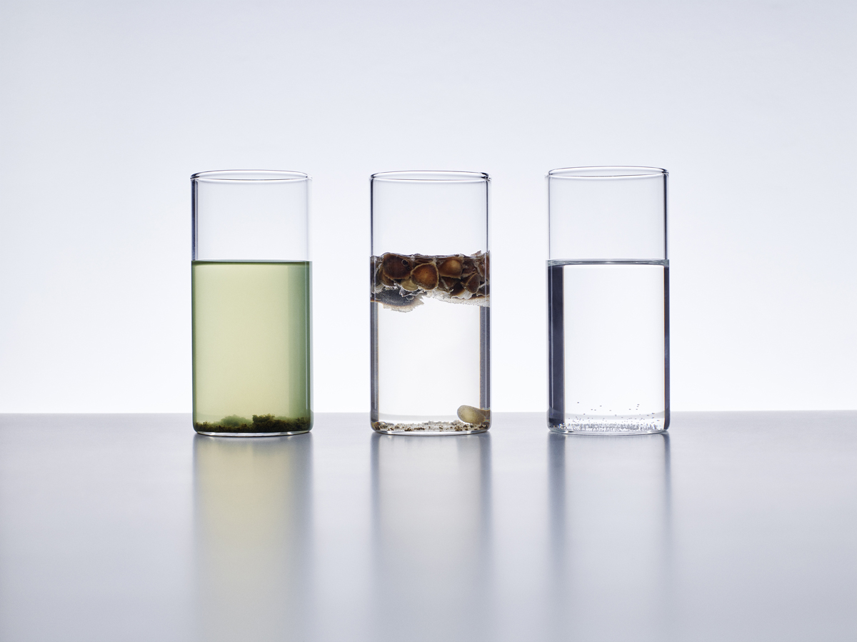 How Birch Water Companies are Using Design to Battle for Market Share -  MOLD :: Designing the Future of Food