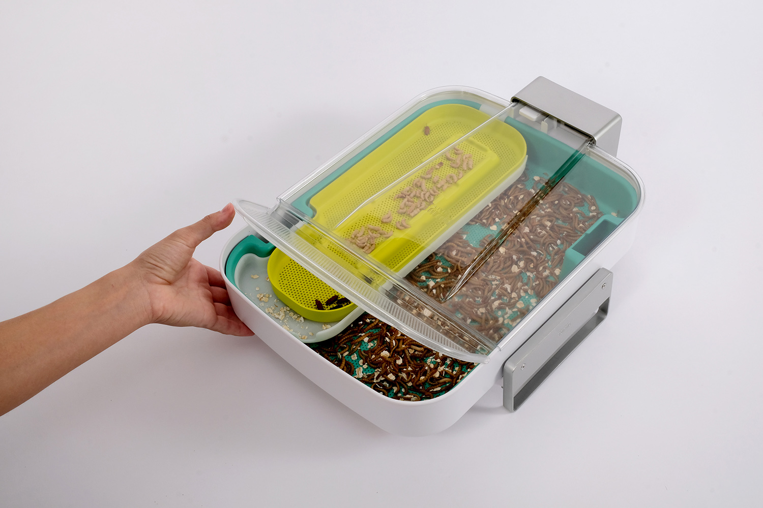 Hive Explorer is the Smart Insect Farm for STEM Education - MOLD ...