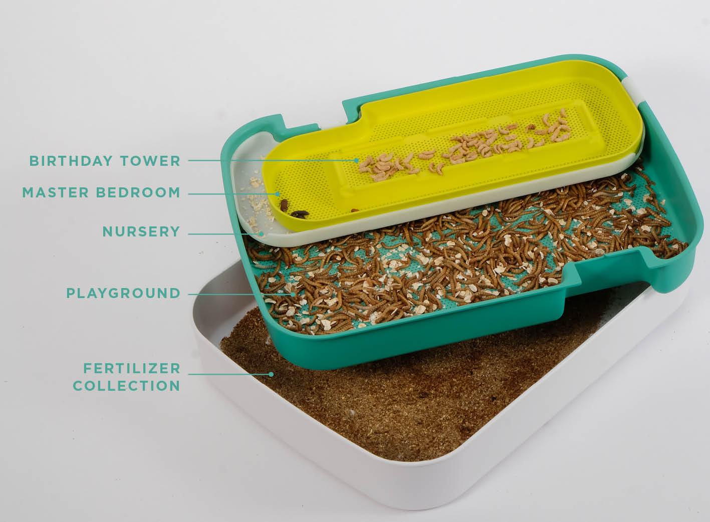 Hive Explorer is the Smart Insect Farm for STEM Education - MOLD ::  Designing the Future of Food
