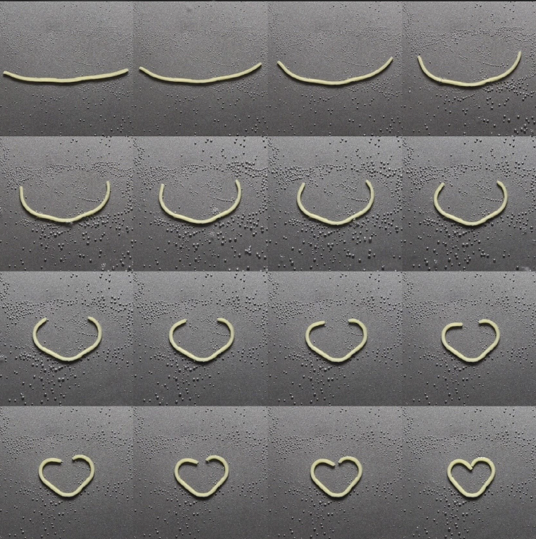 Sequence images of long pasta forming into heart shaped pasta.
