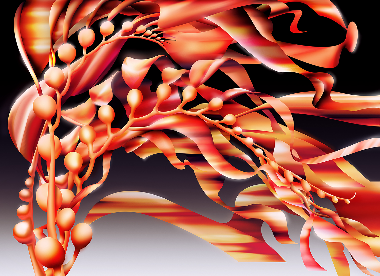 A hyperrealistic explosion of fire hued blades, floats and stems of a frond of seaweedoccupies the entire frame of the image.