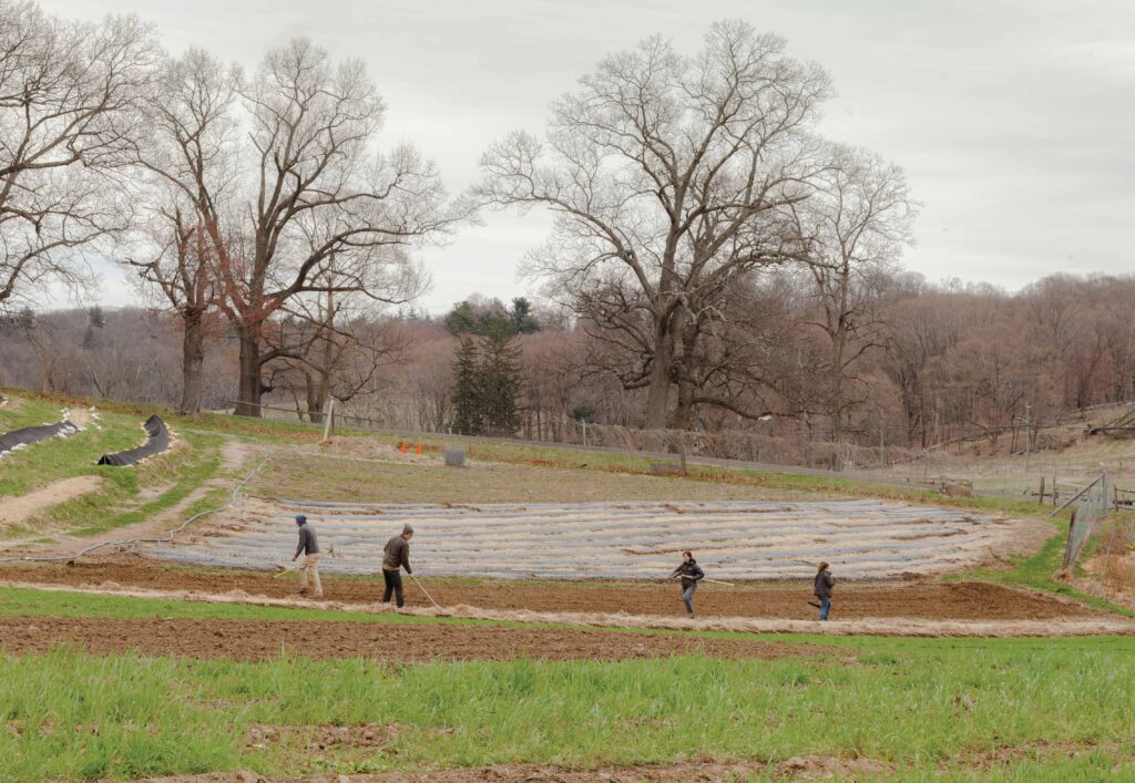 Photo of a farming field with people using plows on the soil.