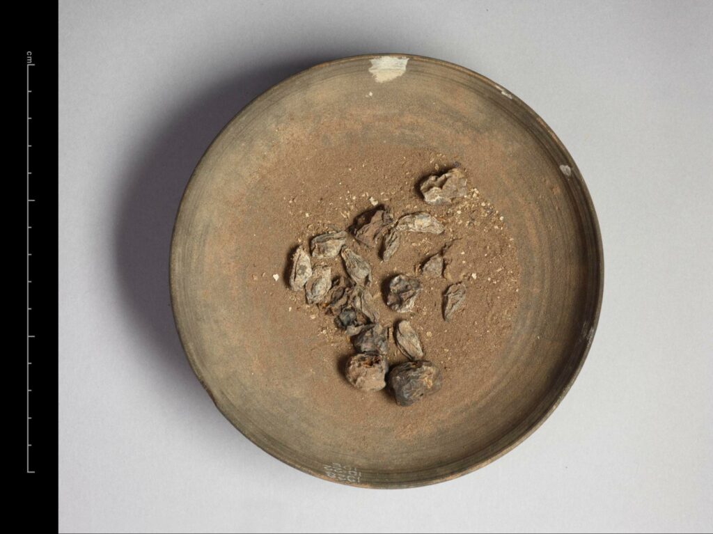 A ceramic bowl containing dried dates and raisins found in a tomb in China.