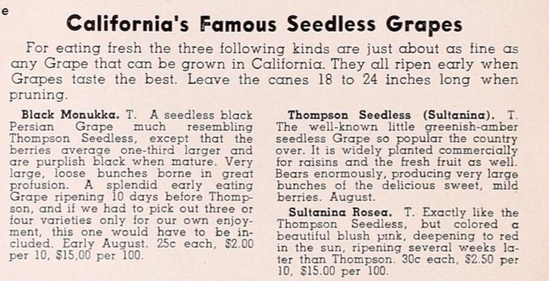 An excerpt from a seed catalog titled California's Famous Seedless Grapes