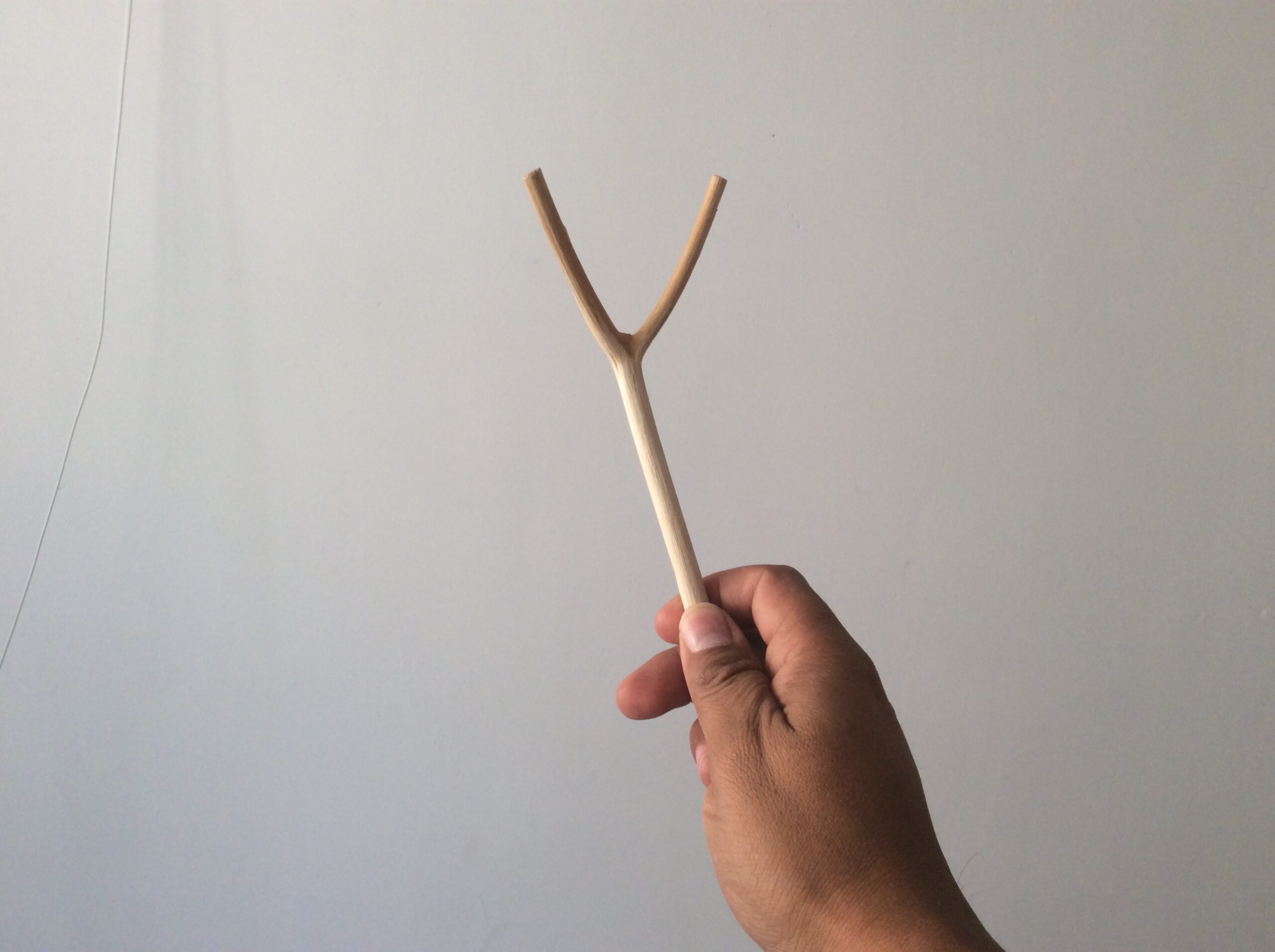 A hand holds a branch of light wood against a blank background, the branch diverges into two branches, like a wishbone.