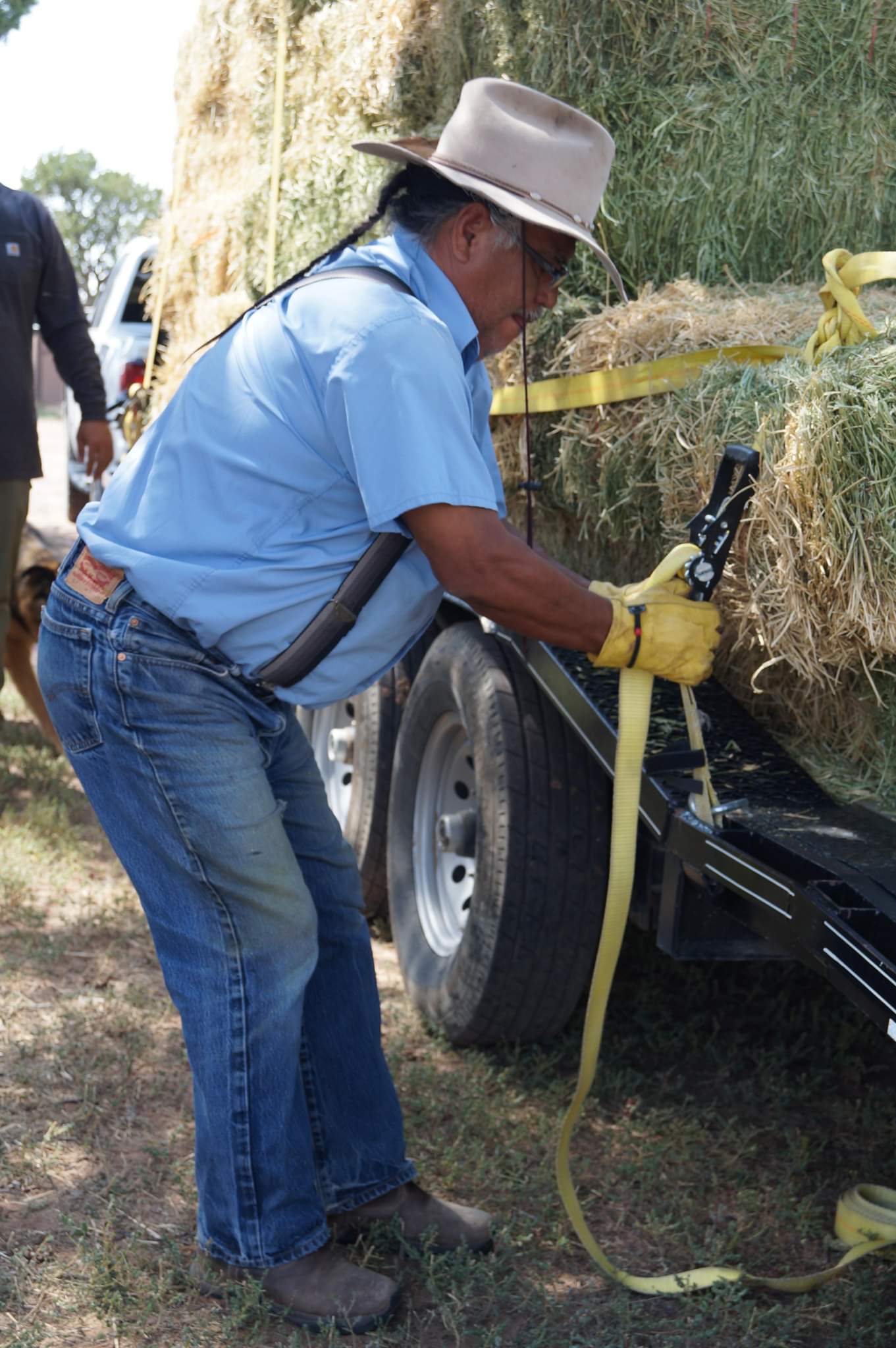 A man wearing blue jeans, suspenders, a light blue button down short sleeve shirt, and a beige-white hat bends over the bed of a truck, buckling in bales of hay.