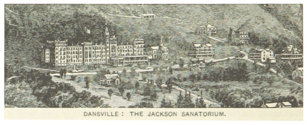 A black and white etching on cream colored paper of a campus of buildings nestled in hills and surrounded by trees. Below the etching is text that says Dansville: The Jackson Sanatorium