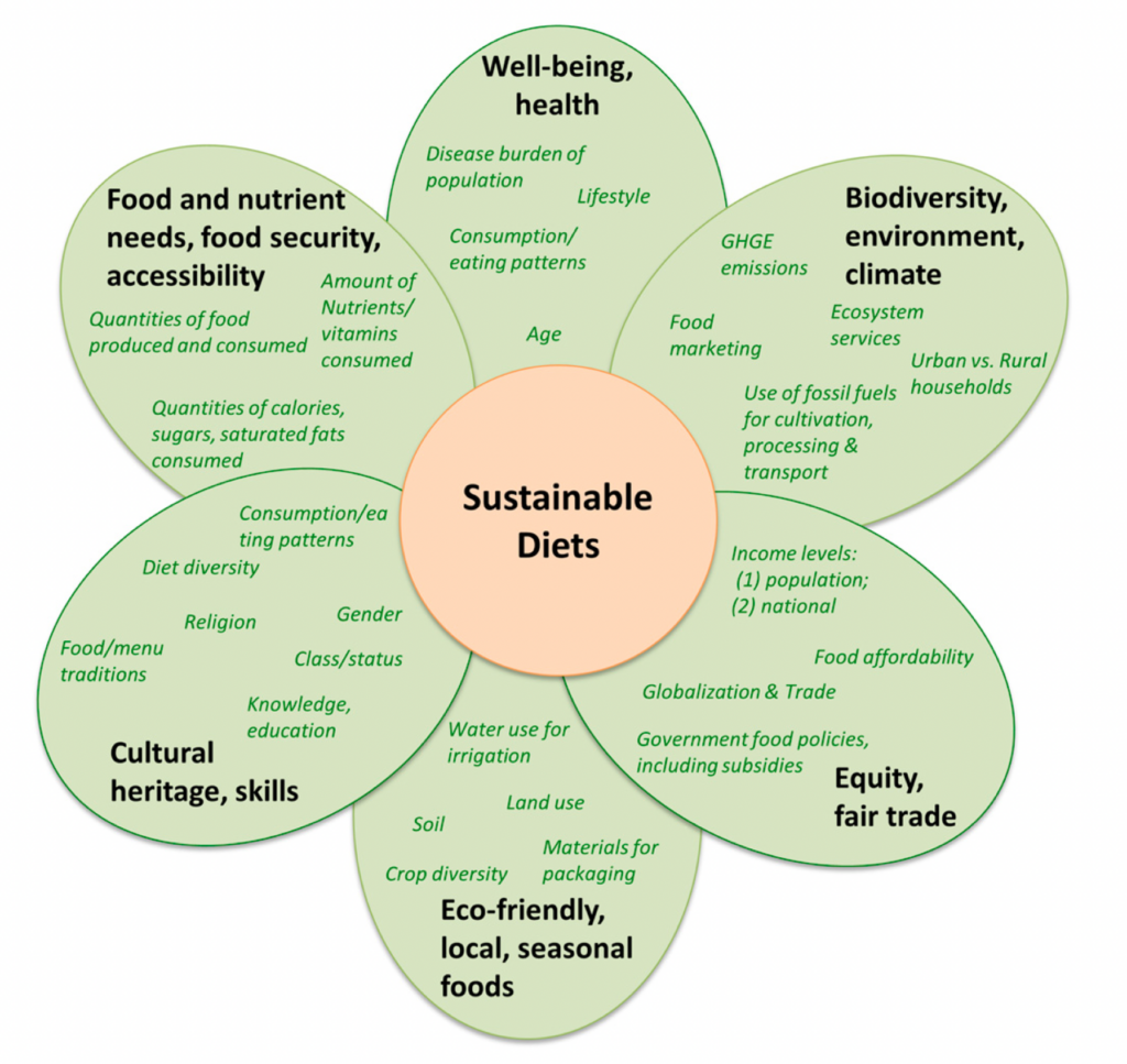 A green, flower shaped diagram with six petals, each illustrating a facet of sustainable diet. At the center of the flower is an orange circle with text in it that reads sustainable diet. 
