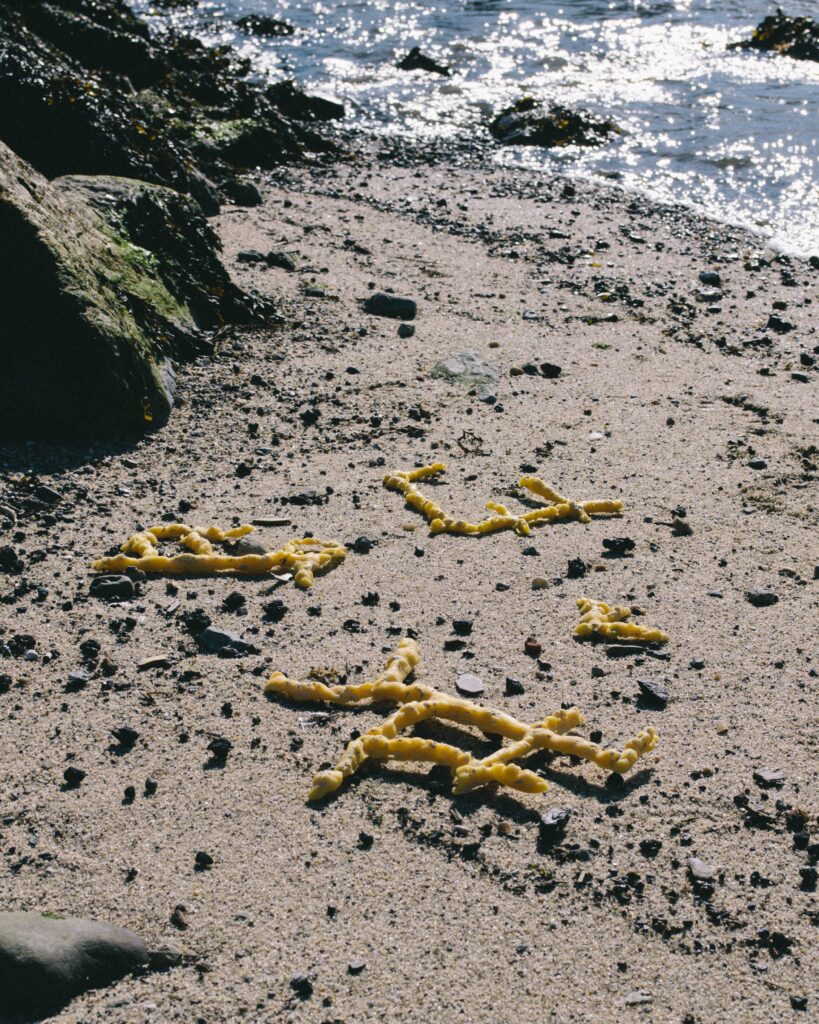 Beeswax sculptures bent into angles lay on a rocky beach alongside the shore of an ocean that glitters in the sunlight. 