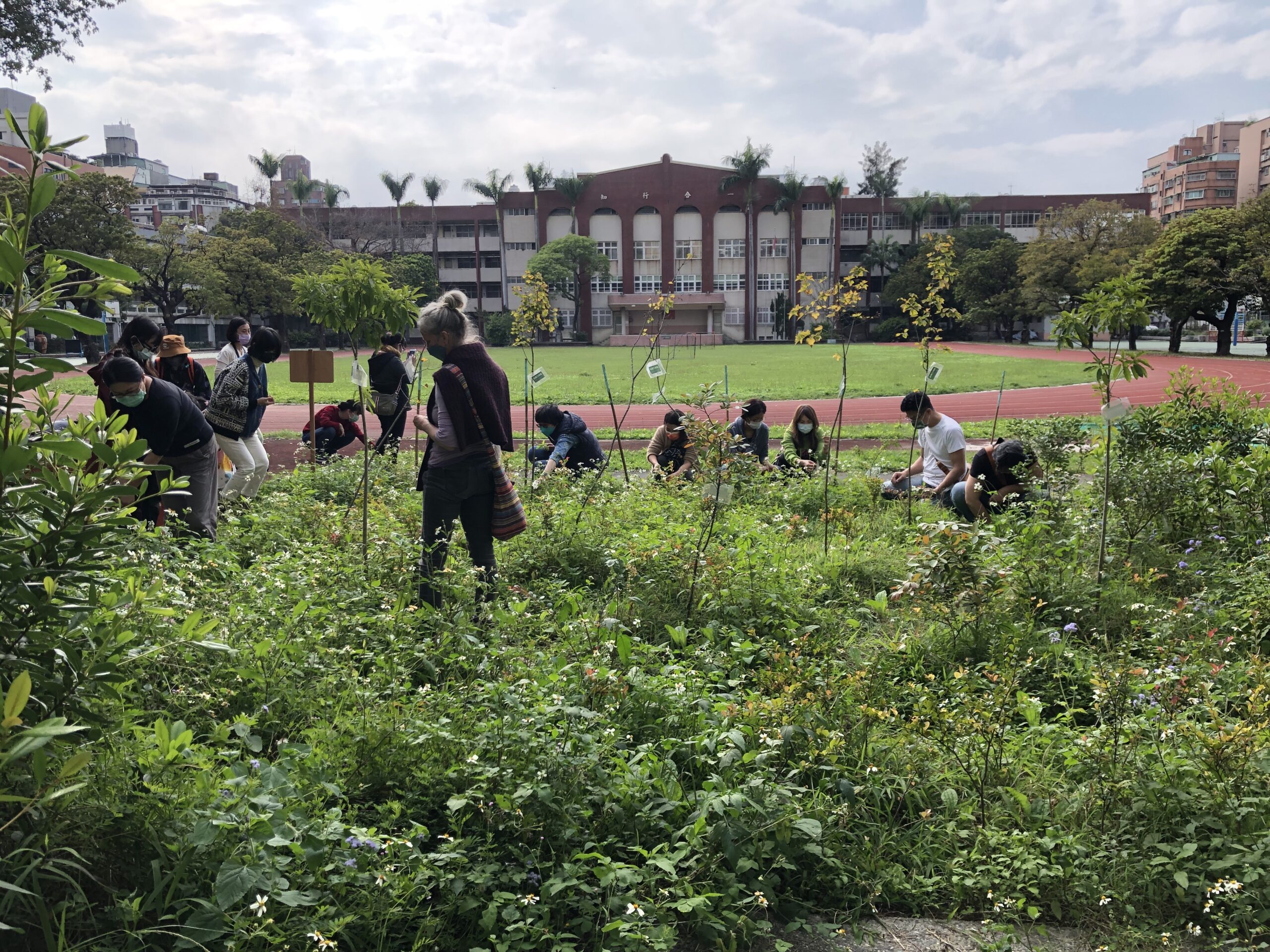 A thriving, abundant field bursting with unkempt greenery in a lot by a school. Children and adults alike are squatting in the field picking plants.