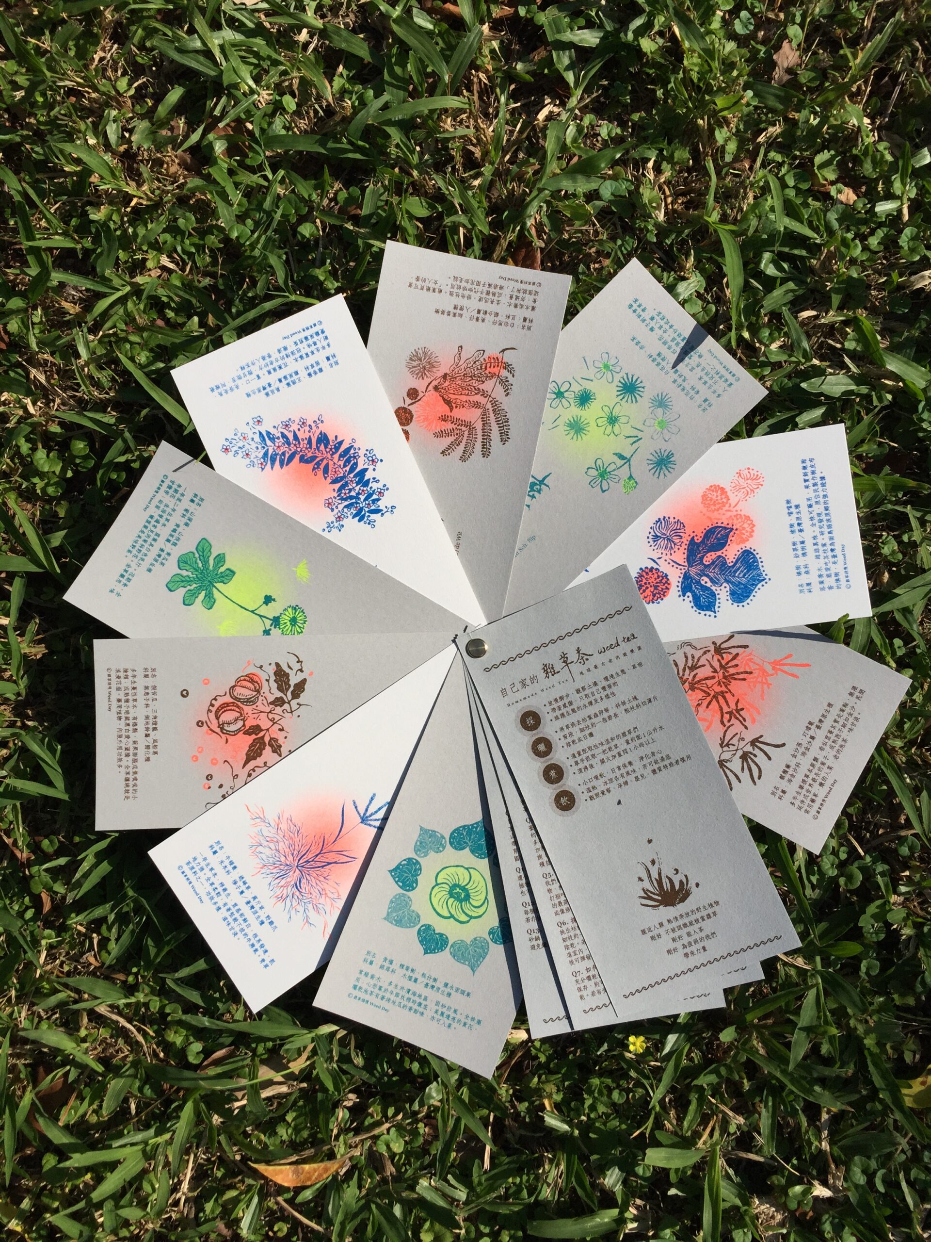 A silver and white zine with floral designs is fanned out across a grass background.