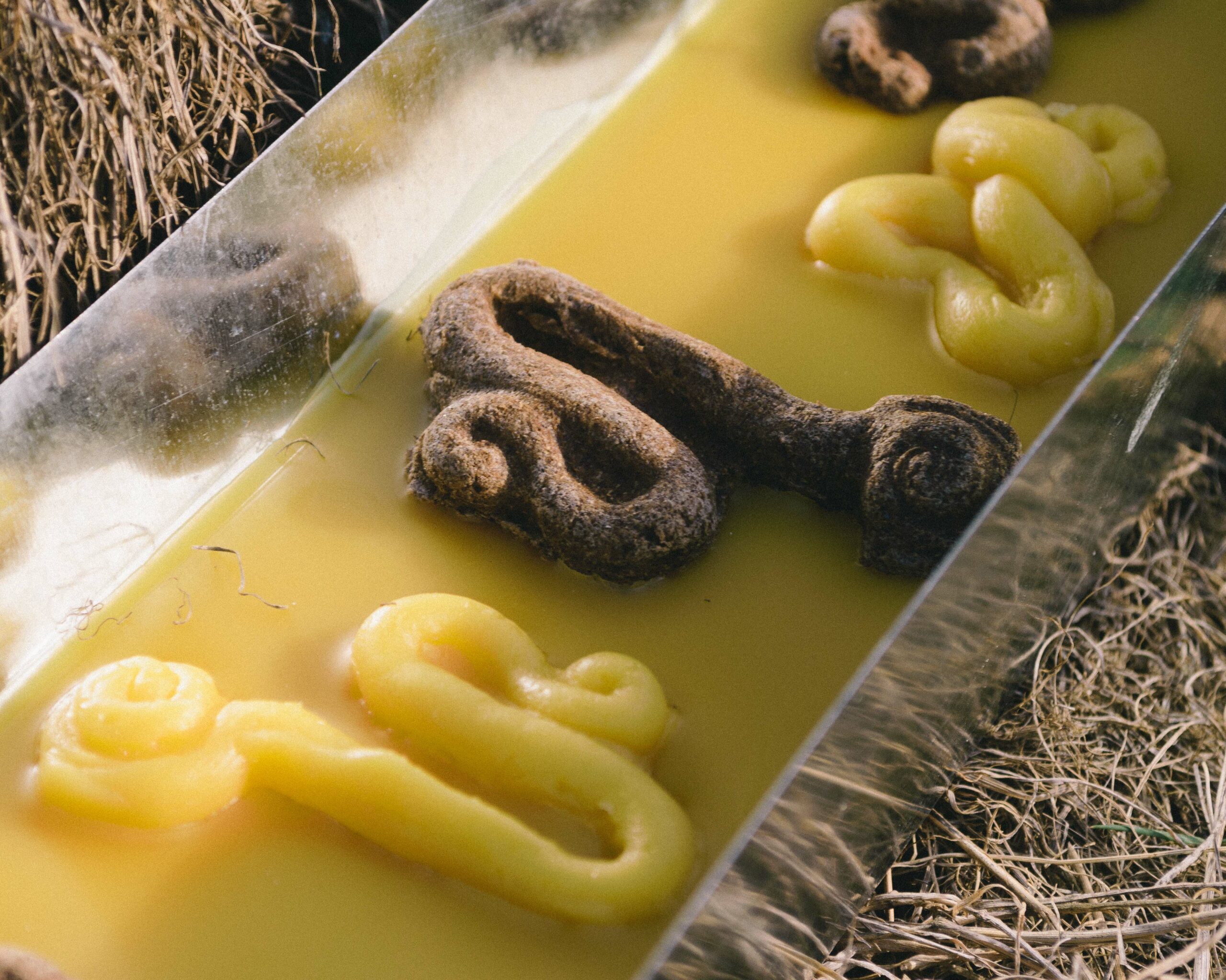 A handful of coiled sculptures lay atop the surface of a box of beeswax.