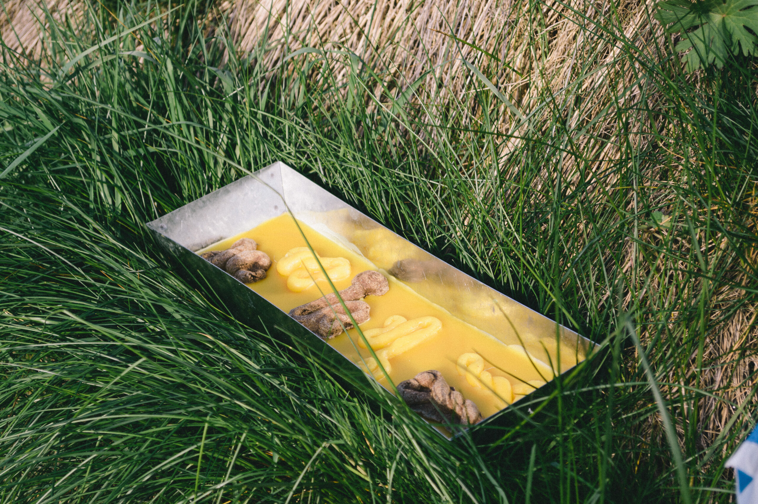 A metal box containing beeswax sculptures that form curlicues lies in a bed of long grasses.
