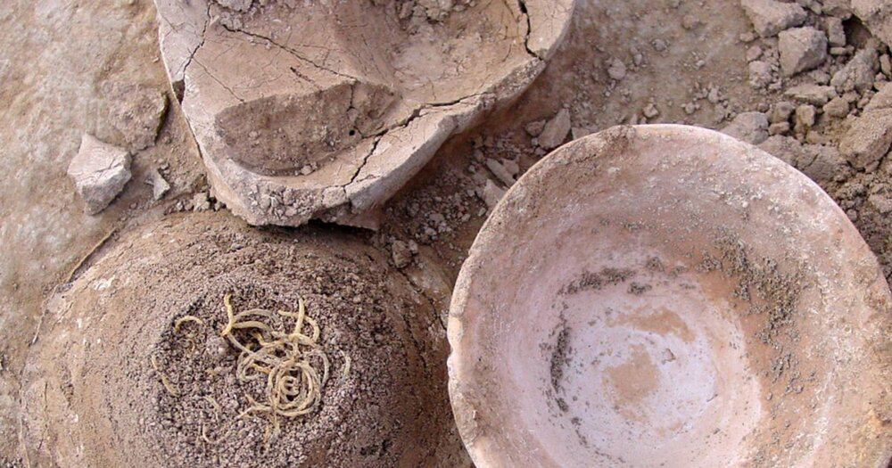 Three clay artifacts lay around fossilized noodles