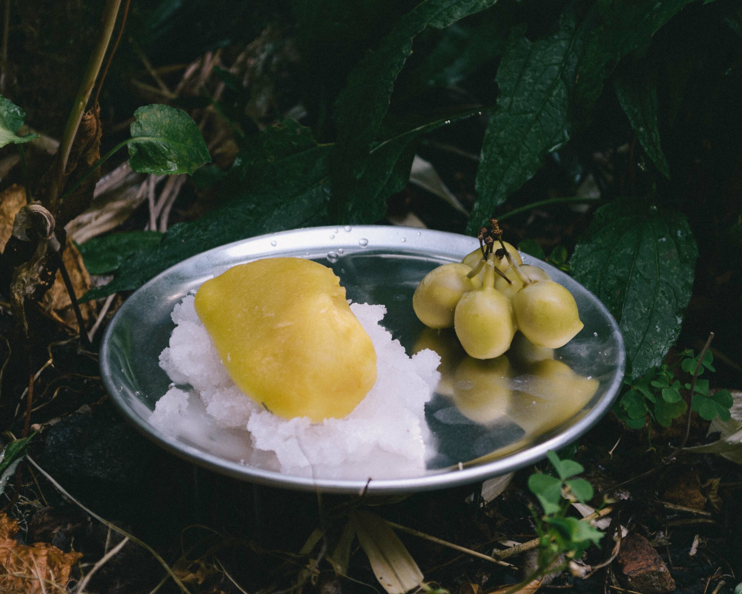 A bundle of fruits coated in olive-colored wax sits next to another yellow beeswax-coated mound which sits on a bed of crushed ice. They are presented on a reflective silver platter found amongst lush greenery.