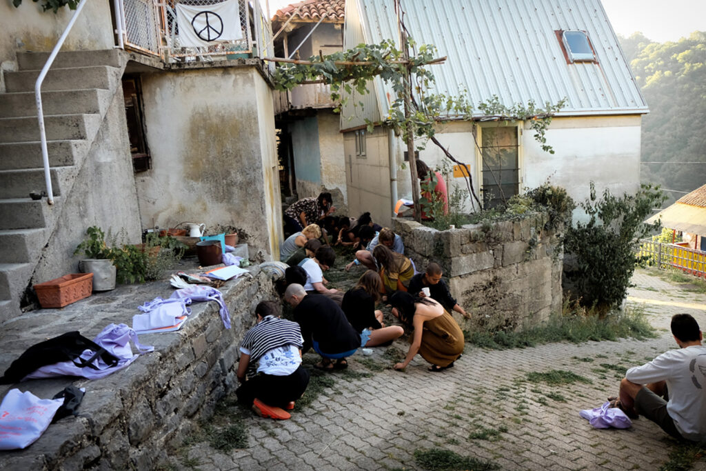 A group of students observe the weeds in the stone in a narrow village street.