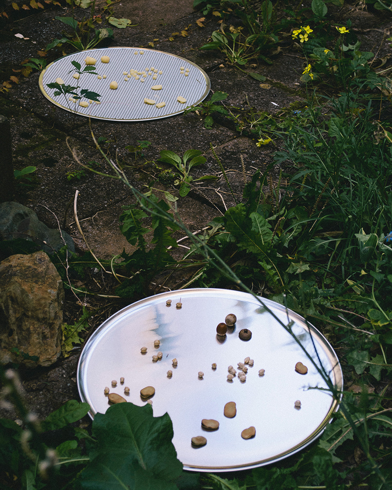 Two trays, one wire mesh and one mirrored sit on grass and plant covered dirt with wax figures and beans, corn kernels and acorns scattered atop them. 