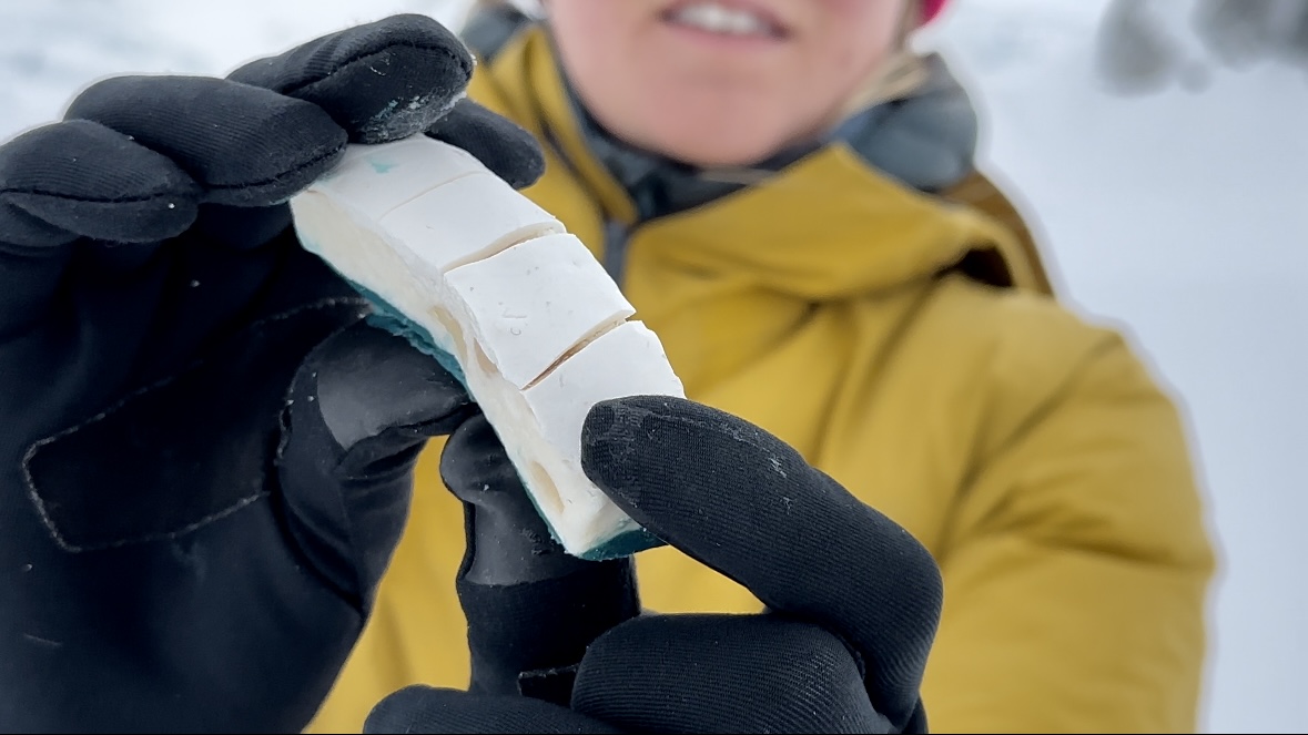 A woman with gloves on bends sugar.