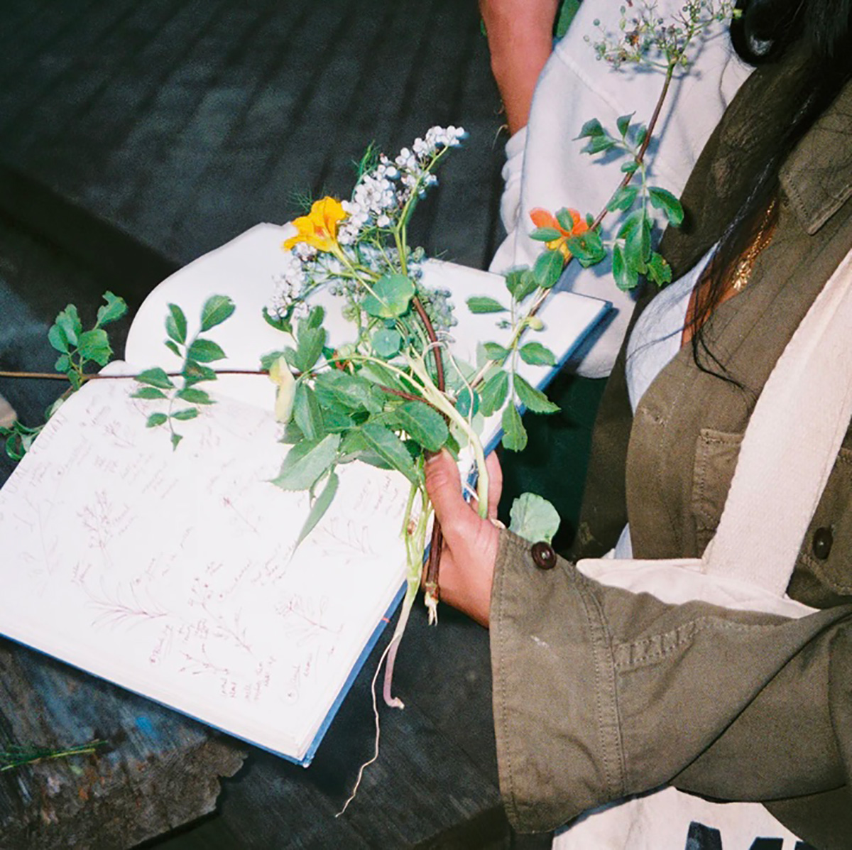 a film photograph of wild flowers held over a notebook containing notes on wild plants.