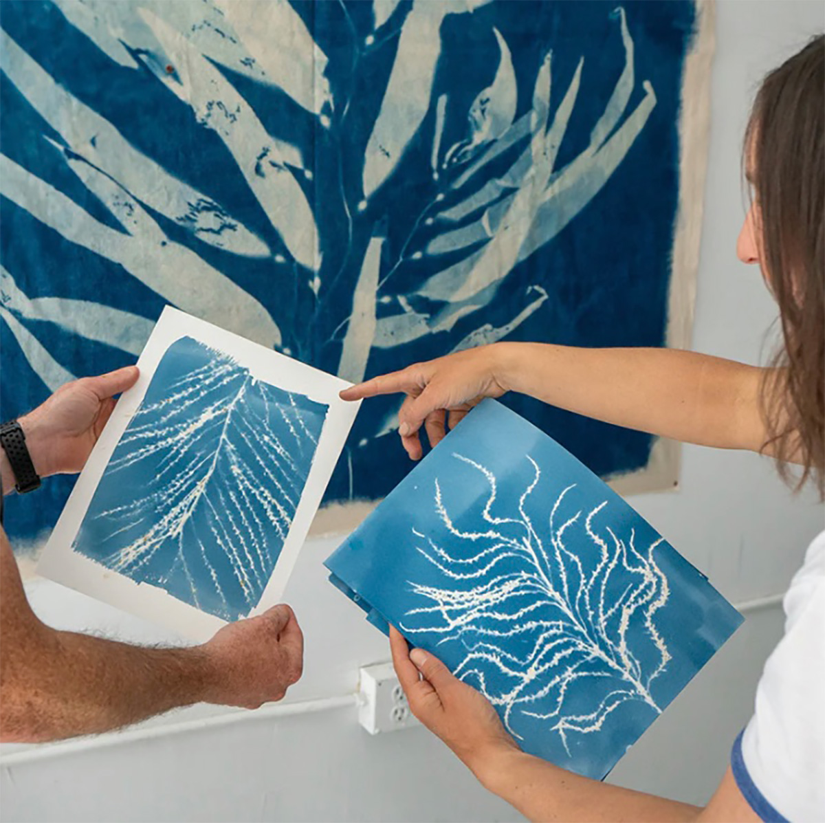 Two cyanotypes made from foraged seaweed being held up for photograph.