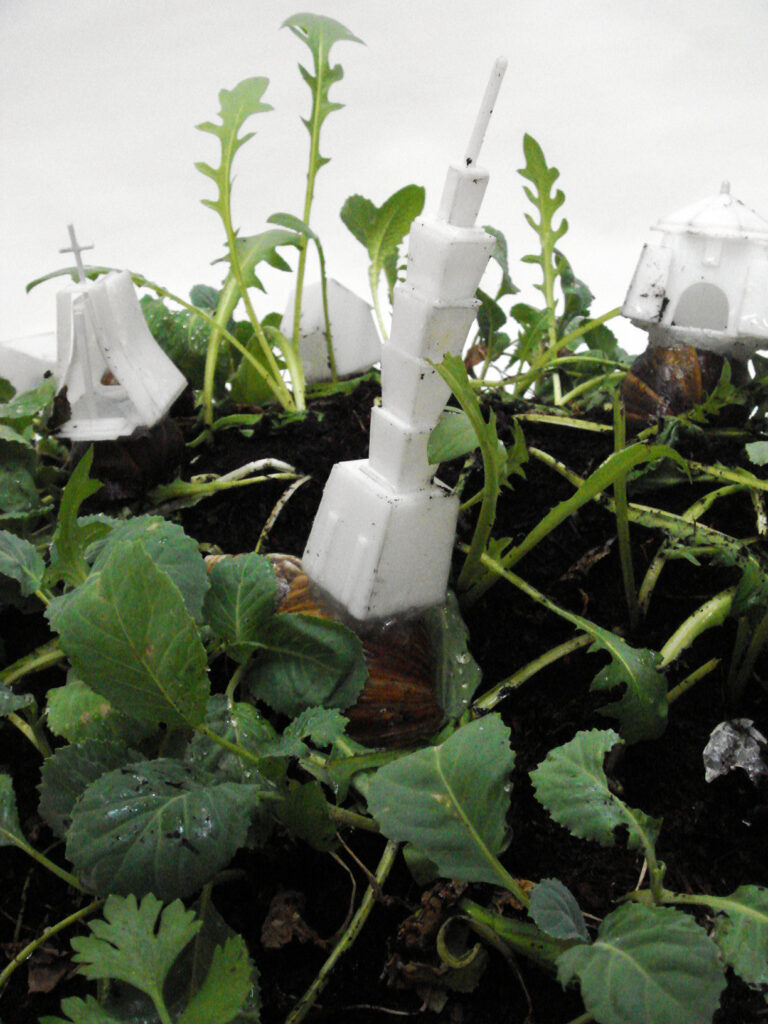 Snails with small 3D printed models of buildings tied to their backs move through a miniature landscape of grasses and soil. 