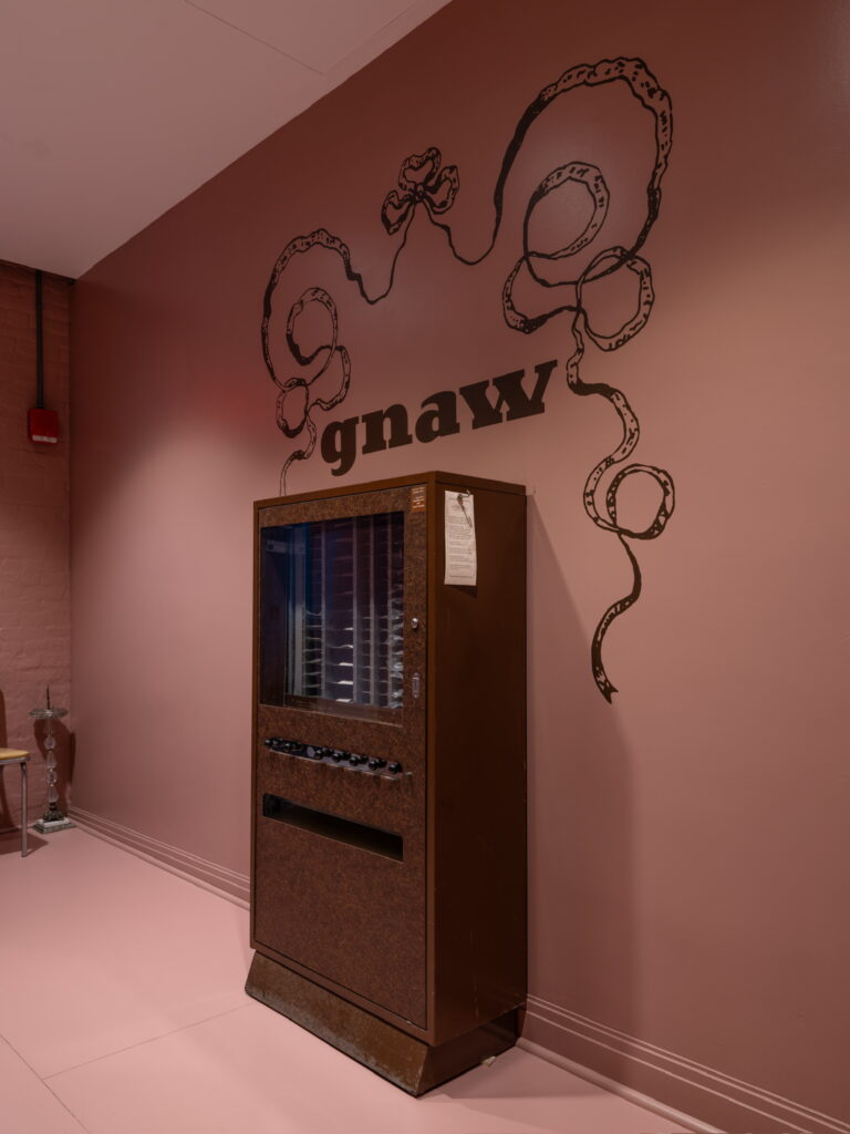 A brown vending machine sits in a pink room below wall text that says 'gnaw' and is adorned with a bow.