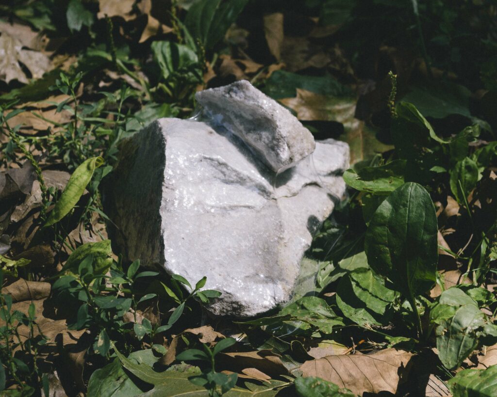 Two vacuum sealed rocks, one smaller than another nestled into the divot of the larger one sit amidst green plants.