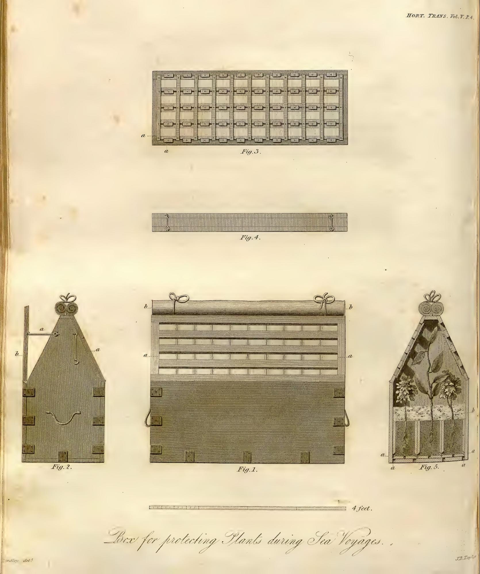 Diagramas que muestran la vista en planta y lateral de un diseño de una caja para contener plantas durante viajes por mar.